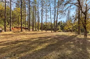 749 Hurleton Rd, Oroville, CA 95966 - Photo 37