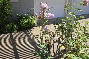 180 Parson Ln, Oroville, CA 95966 - Photo 25
