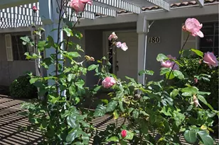 180 Parson Ln, Oroville, CA 95966 - Photo 29