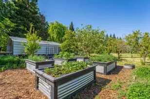25179 68th Ave, Los Olivos, CA 96055 - Photo 47