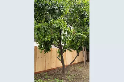 111 Macdonald, Chico, CA 95926 - Photo 33