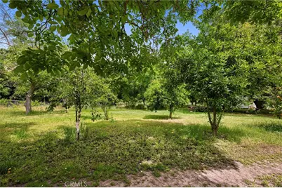 7012 State Highway 32, Orland, CA 95963 - Photo 43