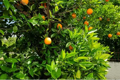 7012 State Highway 32, Orland, CA 95963 - Photo 35