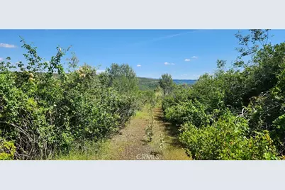 0 Hummer Road, Forest Ranch, CA 95942 - Photo 27