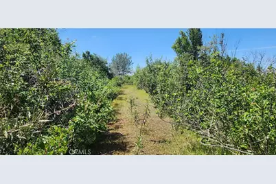 0 Hummer Road, Forest Ranch, CA 95942 - Photo 7