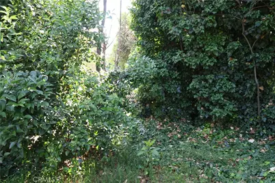 385 Chestnut Ave., Red Bluff, CA 96080 - Photo 21