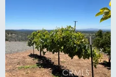 247 Viewcrest, Oroville, CA 95966 - Photo 57