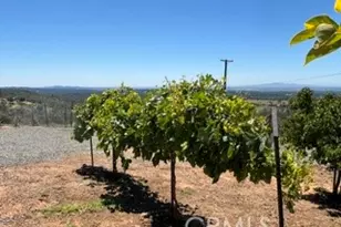 247 Viewcrest, Oroville, CA 95966 - Photo 57