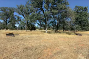 2855 County Rd 308, Elk Creek, CA 95939 - Photo 51