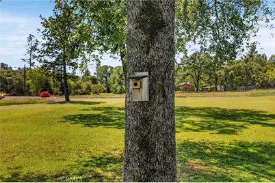 3523 Cherokee, Oroville, CA 95965 - Photo 43