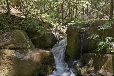 20929 Fall Creek Rd, Castella, CA 96017 - Photo 9