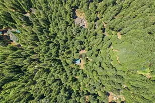 20929 Fall Crk Rd, Castella, CA 96017 - Photo 25