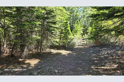0 Fish Creek, Inskip, CA 95966 - Photo 29