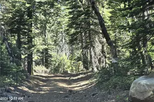0 Fish Creek, Inskip, CA 95966 - Photo 43