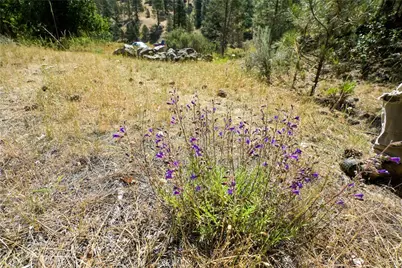 1 Duzel Creek Road, Fort Jones, CA 96032 - Photo 15