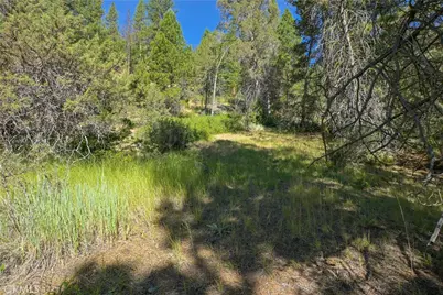 1 Duzel Creek Road, Fort Jones, CA 96032 - Photo 11