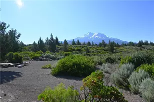7021 Quarry Rd, Weed, CA 96094 - Photo 5