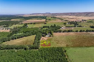 10975 Shasta Blvd, Los Olivos, CA 96055 - Photo 59