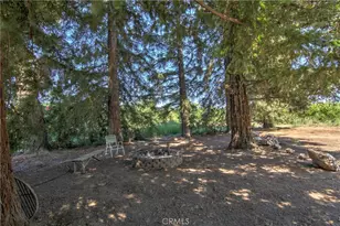 8176 County Road 44, Glenn, CA 95943 - Photo 49
