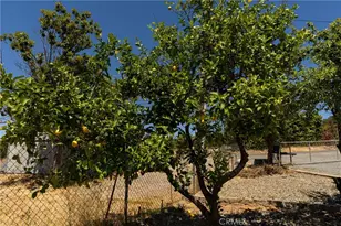 1190 Mount Ida, Oroville, CA 95966 - Photo 51