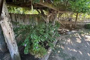 2565 White Ave, Chico, CA 95973 - Photo 27