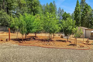 10020 Cohasset, Cohasset, CA 95973 - Photo 21