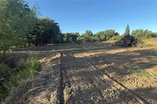 707 Justeson, Gridley, CA 95948 - Photo 5