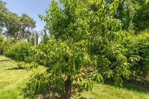 2034 Vista Ln, Durham, CA 95938 - Photo 19