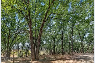 43 Dacy, Cohasset, CA 95973 - Photo 73