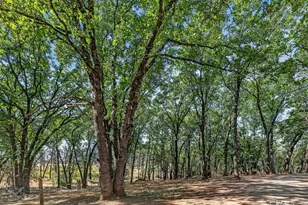 43 Dacy, Cohasset, CA 95973 - Photo 73