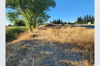 6150 County Road 200, Orland, CA 95963 - Photo 7