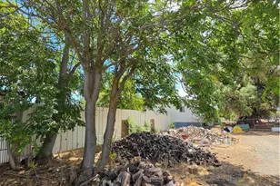4534 County Road Ff 1/2, Orland, CA 95963 - Photo 7