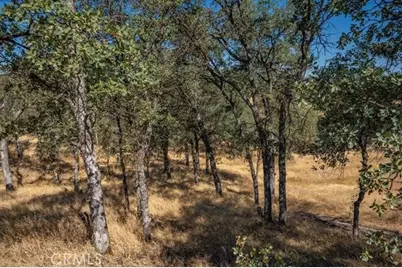 18710 Saddleback Ridge Road, Cottonwood, CA 96022 - Photo 41