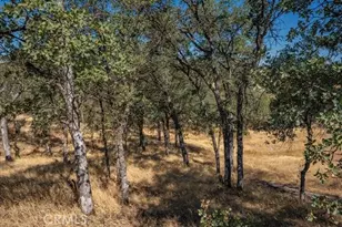 18710 Saddleback Ridge Rd, Cottonwood, CA 96022 - Photo 41