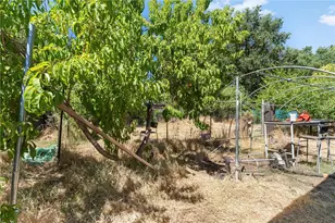 858 Cleveland Ave, Chico, CA 95928 - Photo 27