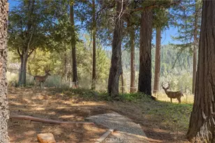 14808 Goldcone, Magalia, CA 95954 - Photo 19