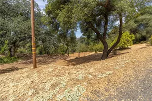 188 Patton Peak, Yankee Hill, CA 95965 - Photo 57