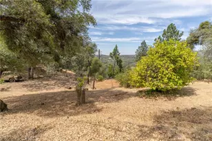 188 Patton Peak, Yankee Hill, CA 95965 - Photo 59