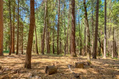 14579 Carnegie, Magalia, CA 95954 - Photo 3
