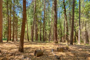 14579 Carnegie, Magalia, CA 95954 - Photo 3
