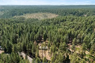 14565 Coutolenc, Magalia, CA 95954 - Photo 43