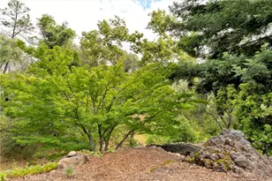 13411 Bean Flat, Chico, CA 95928 - Photo 43