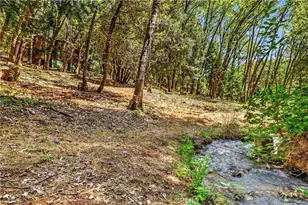 6055 Timber Ridge, Magalia, CA 95954 - Photo 5