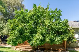 42 Oak, Chico, CA 95926 - Photo 31