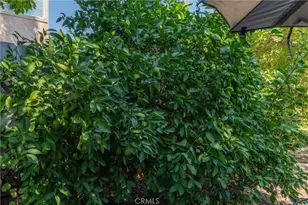 154 Remington, Chico, CA 95928 - Photo 35
