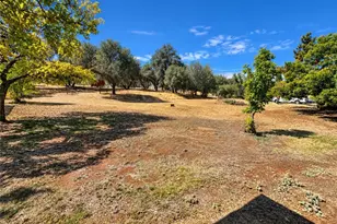 450 Oakvale, Oroville, CA 95966 - Photo 39