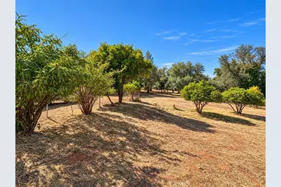 450 Oakvale, Oroville, CA 95966 - Photo 41