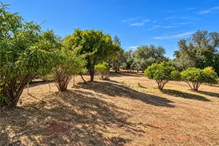 450 Oakvale, Oroville, CA 95966 - Photo 41