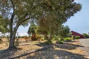 6838 Co Rd 18, Orland, CA 95963 - Photo 71