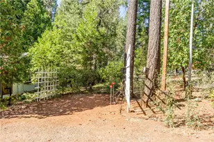 19133 New York Flat Rd, Forbestown, CA 95941 - Photo 27